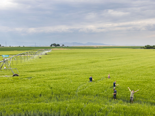 Root Shoot Spirits Joins Zero Foodprint in Support of Regenerative Agriculture
