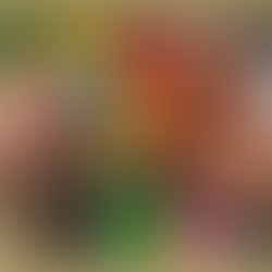 Shots, Everybody – Alcoholic Jell-O Wiggles its Way onto Retailers' Shelves