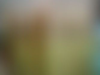 Reconstruir la cadena de valor de la lana: una oportunidad industrial para España