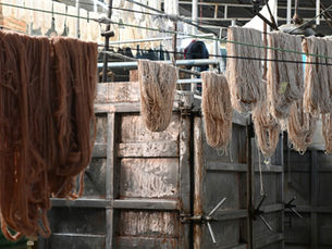 Nace la Mesa Nacional de la Lana: un paso decisivo para activar su potencial en España