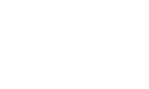 transparan logo.png