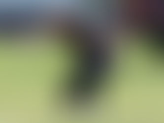 Platinum's Rising Star