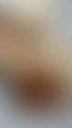 לחם קסטן פרוס