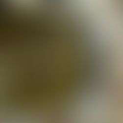 עלי גפן ממולאים