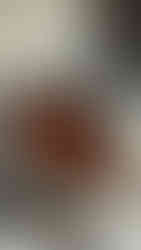 פרנץ' טוסט על תרבד