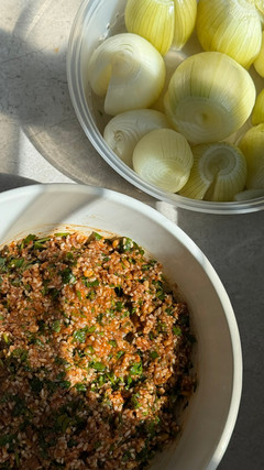 קערה עם מילוי בשר ולידה קערה עם בצלים קפולים אחרי מיקרו