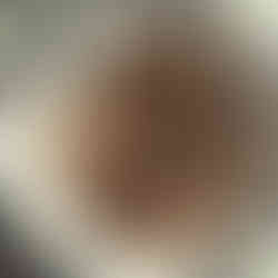 בלילה של עוגיות