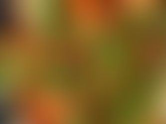 סיר אלתור - סיר עוף וירקות