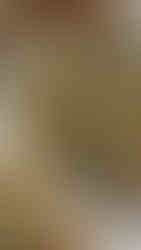 פרחי כרובית