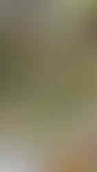 קרפצ'יו חציל