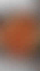 סיר אלתור - סיר עוף וירקות לפני בישול