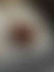 פרנץ' טוסט בצלחת