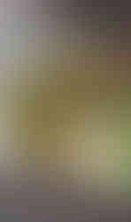 בצל מטוגן בצל ירוק ושום בסיר