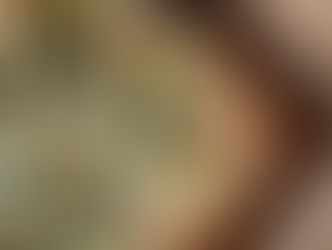 מאפה בצק עלים זוקיני וגבינות