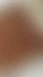 פאי פקאן-שוקולד בארס לפני אפייה