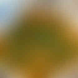 תבשיל קינואה וירקות בסיר