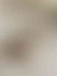 מגולגלות שיבולת שועל, שקדים, טחינה וסילאן