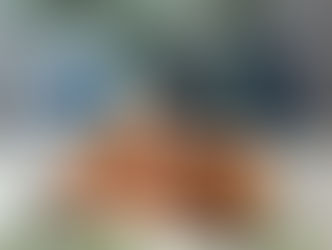 סופגניות אשל