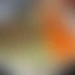 כל מצרכי התבשיל מסודרים בסיר לפני בישול