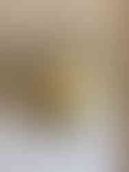 עוגיות קרם שקדים ופיסטוק בצנצנת