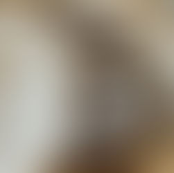 קלצונה שוקולד