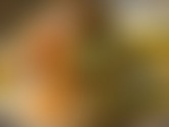 אורז וסלמון בתבנית אחת