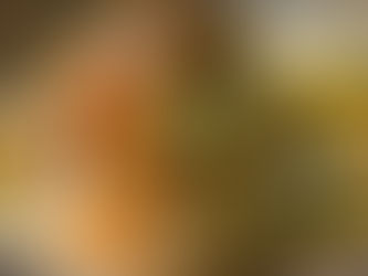 אורז וסלמון בתבנית אחת