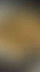 קינמושים קרם מסקרפונה לפני אפייה