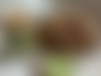 ריבועי בייגלה מתובלים