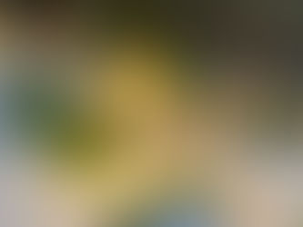 The Midi Wedding Is Here — And It’s the Sweet Spot Couples Can’t Stop Booking in 2026