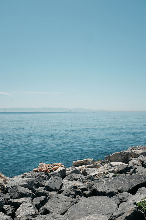 sarayburnu sahili (1).jpg