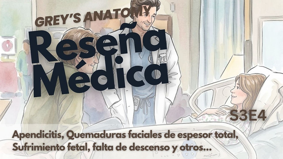 Derek y Finn visitan a Meredith.