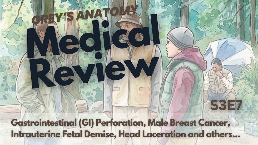 The men go out camping in the woods.