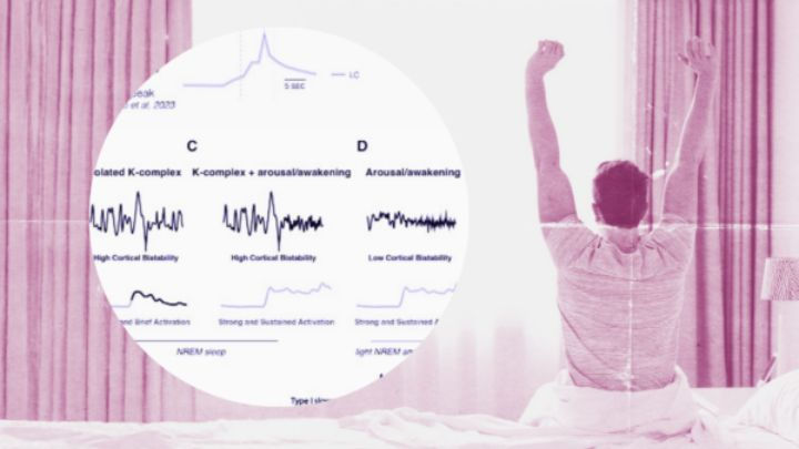 Man stretching in bed overlaid with scientific graphs showing K-complex waves and brain signaling patterns during NREM sleep cycles.