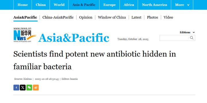 Xinhua News website displaying a headline: "Scientists find potent new antibiotic hidden in familiar bacteria." `