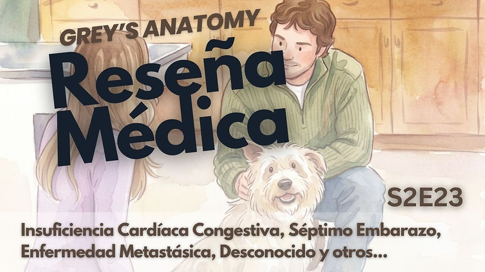 Meredith y Finn hablan sobre Doc.