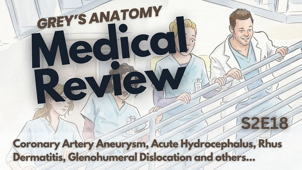 Meredith, Cristina, Izzie, and Alex watch George fall down the stairs.