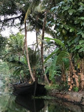 backwaters, Kerala