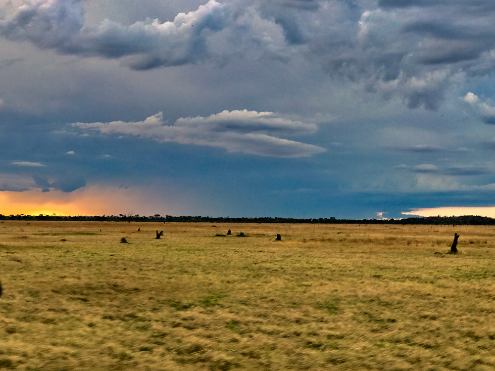 Drama on the plains, as only Africa knows how