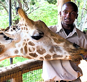 Taking Care of Giraffe_edited.jpg