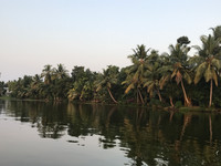 Backwaters, Kerala