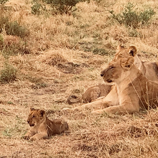 Savuti, Botswana