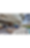 Untitled design (5).png