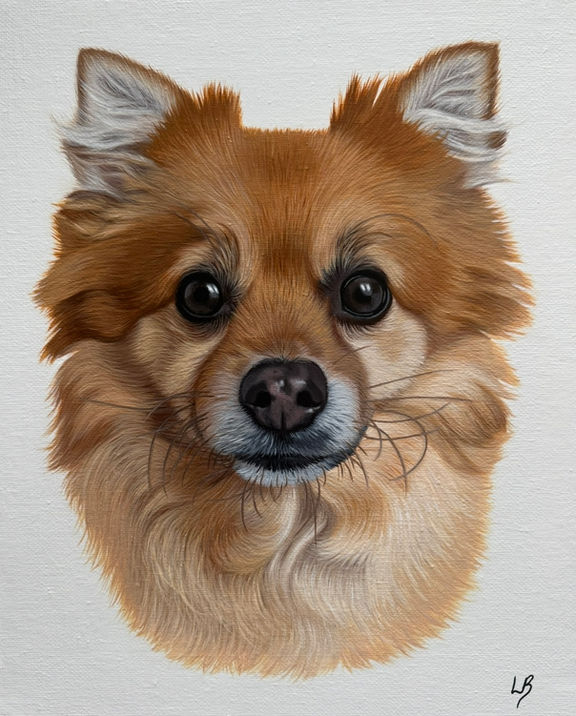 acrylic painting of an orange pomeranian