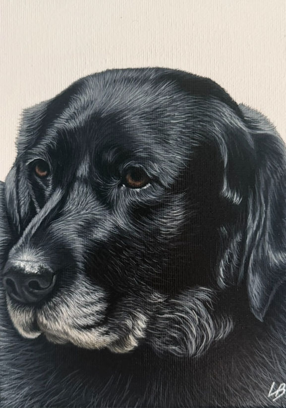acrylic painting of a black labrador