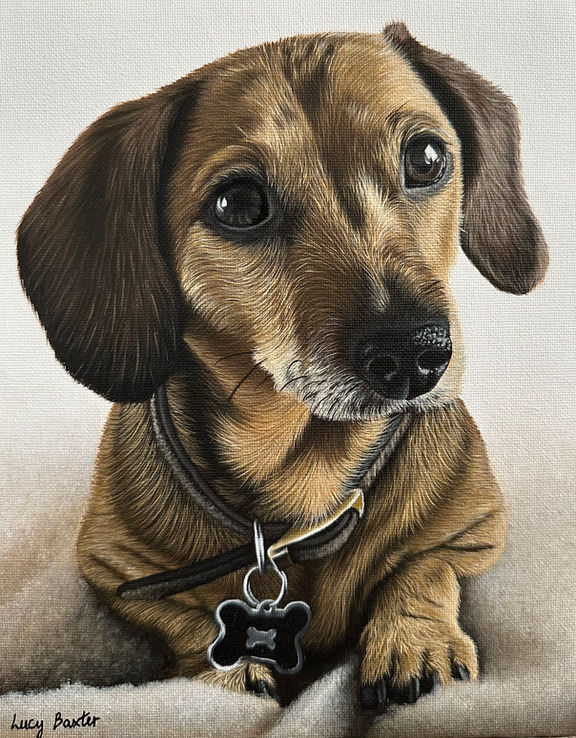 acrylic painting of a dachshund
