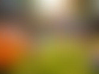 Creative Ways to Use Yard Card Rentals for Celebrations