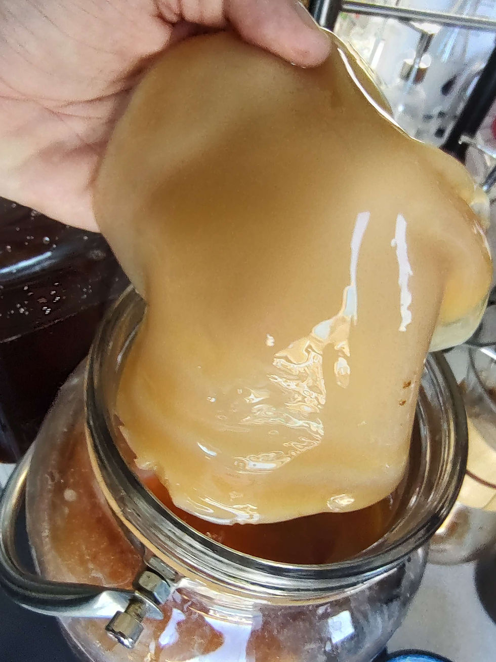 Thumbnail: Kombucha (per bottle)