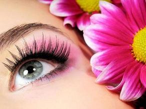 Best Eyelash Extensions in Carrollton, TX
