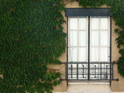 17. 7 septembre 2015 (11h00)